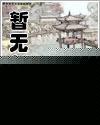 洛辰欢封面